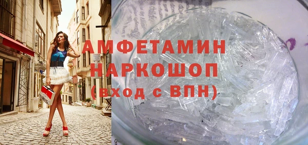 гидра Нестеровская
