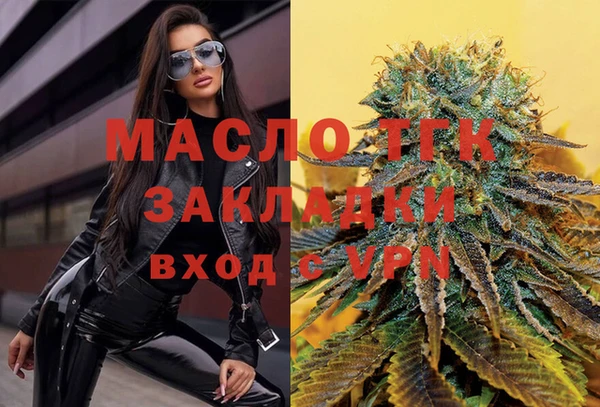 прущие грибы Абаза